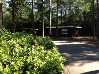 California Chalet & Touring Park - Wokingham - 8