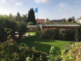 Fewo in sonniger Lage in Sagard - Sagard - 8