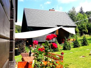 Beskidzka Ostoja - Koszarawa - 9