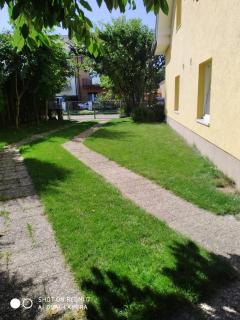 SŁONECZNIK - Rewal - 5
