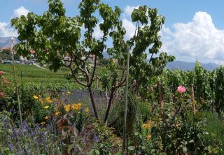 Holiday Home Kata - 4