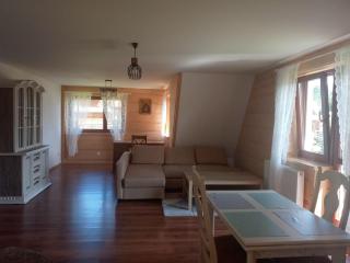 Nowy apartament z bajecznym widokiem! (75m2) - Kościelisko - 2