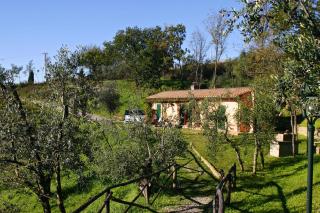Tenuta San Vito In Fior Di Selva - 5