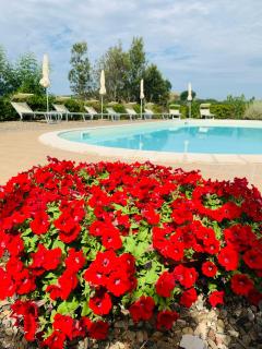 Tenuta di Montemassi Podere Raspollino - Montemassi - 5