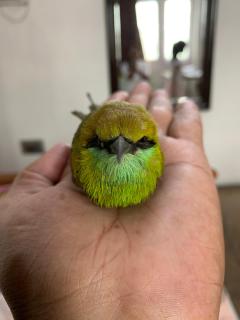 Nature Resort - Agra - 7