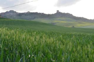 Val d'Orcia nel Borgo - Castiglione dʼOrcia - 9
