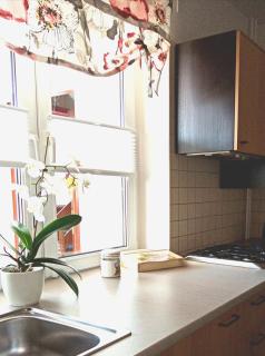 Apartament Leśny - Szczejkowice - 0