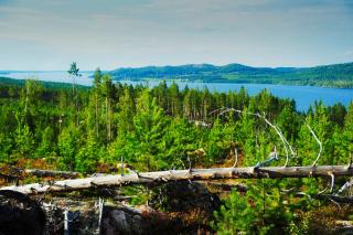 B&B Gillhov & Camping - Svenstavik - 5