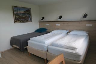 Dilksnes Guesthouse - Höfn - 9