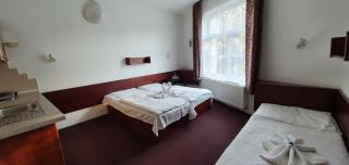 Hotel Jerabek - Prag - 7