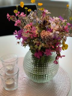 House in central Finnsnes - 2