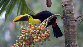 Hotel Villas Rio Mar - 1