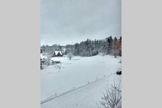Apartament White Biały Dunajec - Biały Dunajec - 7