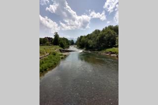 Apartament White Biały Dunajec - 6