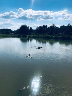 Jaunbirzes - 8