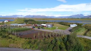 Dilksnes Guesthouse - 0