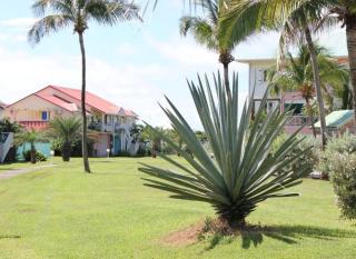 Bel appartement Résidence Crystal beach avec citerne individuelle - Saint-François - 8