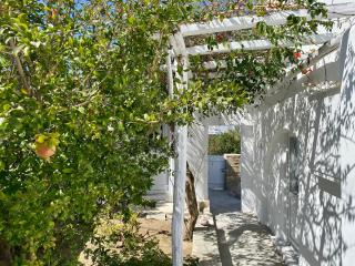 Maria Elena - Suite Home - 5