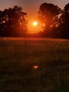 Villa Mainardi Agriturismo - 7