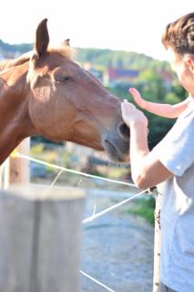 Gutshof Schirgiswalde - 6