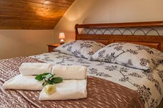 Pensjonat Cyrkon - strażnik młodszego Paleozoiku - 8