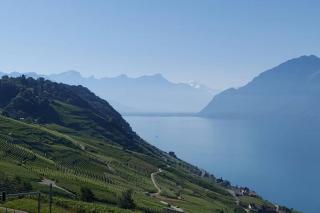 Les Terrasses de Lavaux 1 - Appartement de luxe avec vue panoramique et piscine - Puidoux - 1
