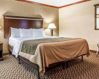 Quality Inn Macomb near University Area - 5