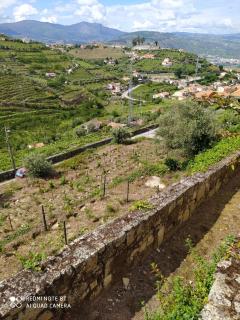 Quinta de Penelas - Lamego - 1