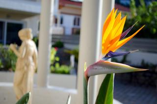 Hotel Estia - Finikounta - 8