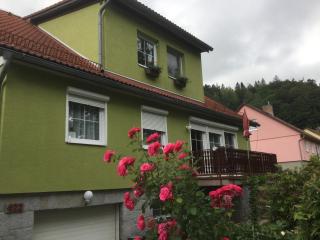Apartman U Hanicky - Bělá pod Pradědem - 9