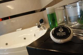 Hotel Ginebra - 3