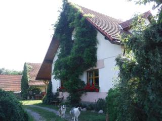 Farma Zahradnice - Olbramovice - 9