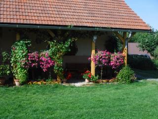 Farma Zahradnice - Olbramovice - 5