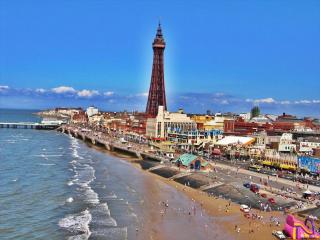 The Driftwood Hotel - 0