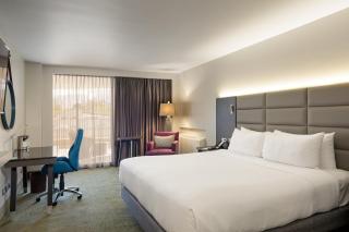 Crowne Plaza San Jose La Sabana by IHG - San José - 8