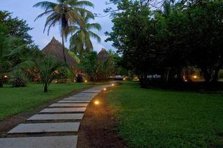 Turtle Beach Lodge - Tortuguero - 3