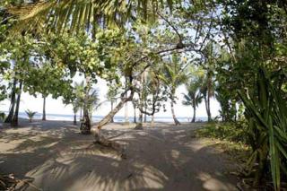 Turtle Beach Lodge - Tortuguero - 2