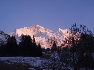 Chalet Viola - Verena's Loft - Wengen - 6