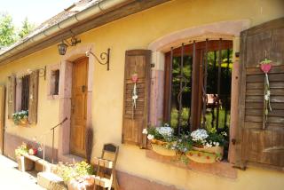 Gîte du Thalala - Bernardvillé - 9