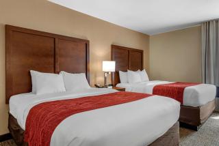 Comfort Inn Lafayette I-65 - Lafayette - 9