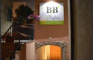 B&B Il Tiglio - Lapio - 0