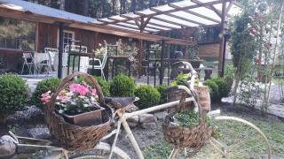 Villa Sveti Dimitar - Borovets - 3