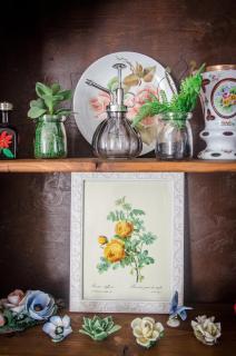 AnMa Cottages The Secret Garden - Pianello Del Lario - 2