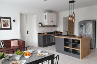 Apartament w kamienicy Przy Plantach - Kalisz - 9