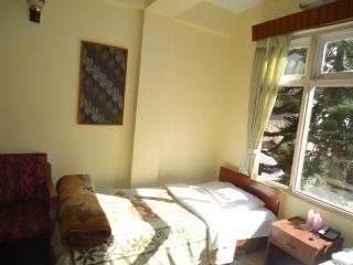 Hotel Discovery Inn - Kathmandu - 8