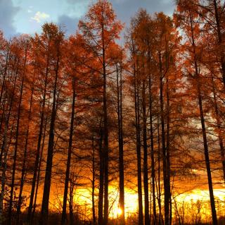 星空自慢の宿帯広八千代Starry Sky Inn - 9