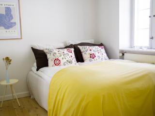 Bright apartment next to the King's Garden - 5