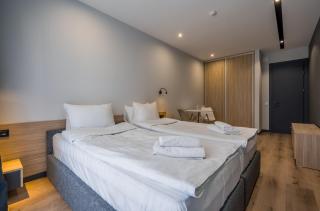 Gudauri, Atrium Suites - 3