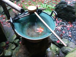 Gion Yoshiima - Kyoto - 4