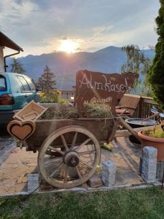 Bio-Bauernhof Zirmhof - 6